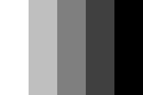 From Black to White Color Palette Movie Color Palette, Paula Scher, Monochrome Color Palette, Monochromatic Color Palette, Dark Color Palette, Black Color Palette, Colors Black And White, Black And White Movie, Grey Color Palette