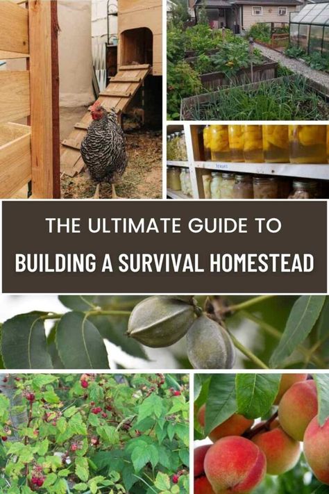 The Ultimate Guide to Building a Survival Homestead: Why You Should and How to Start 12 Christian Homesteading, Homestead Compound, Frugal Homesteading, Survival Homestead, Offgrid Lifestyle, Homestead Land, Homestead Diy, Homestead Ideas, Homesteading Diy