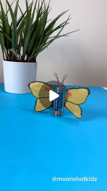 DIY electronics, stem and science activities for beginners on Instagram: "DIY “Yellow butterfly” homopolar motor. Easy and fun electronics project for beginners.
You will need:
- Bare copper wire (without antioxidant layer)
- AAA battery
- Magnets (neodymium)
- Tracing paper 
- Markers

Warning: this project should be done under adult supervision.

Order supplies here: https://www.amazon.com/shop/moonshotkidz

#stem #stemlearning #stemeducation #stemteacher #stemactivities #science #papercircuit #papercraft #crafts #easycraft #scienceteacher #scienceexperiment" Science Projects For High School, Easy Science Projects For Kids, Experiments For Kids Easy, Butterfly Crafts For Kids, Steam Activities For Kids, Homopolar Motor, Easy Science Experiments For Kids, Electronics Project, Science Experiments Kids Easy