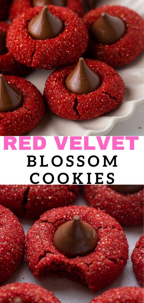 These red velvet blossoms cookies are soft, crunchy, and have just the right amount of Hershey's chocolate in the center. Thumb Print Cookies Recipes Christmas, Thumbprint Cookies Hershey Kiss, Christmas Thumbprint Cookies, Blossoms Cookies, Thumbprint Cookies Christmas, 2023 Cookies, Red Cookies, Homemade Christmas Cookies, Cookies 2023