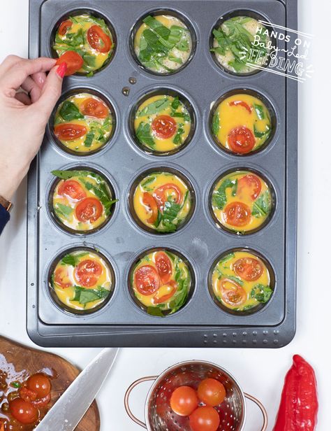 Baby Led Weaning Egg Muffins - Baby Led Feeding Bell Pepper Recipes Blw, Easy Egg Breakfast, Soups For Kids, Baby Muffins, Baby Led Feeding, Egg Muffins Breakfast, Healthy Greek Yogurt, Healthy Breakfast Muffins, Healthy Yogurt