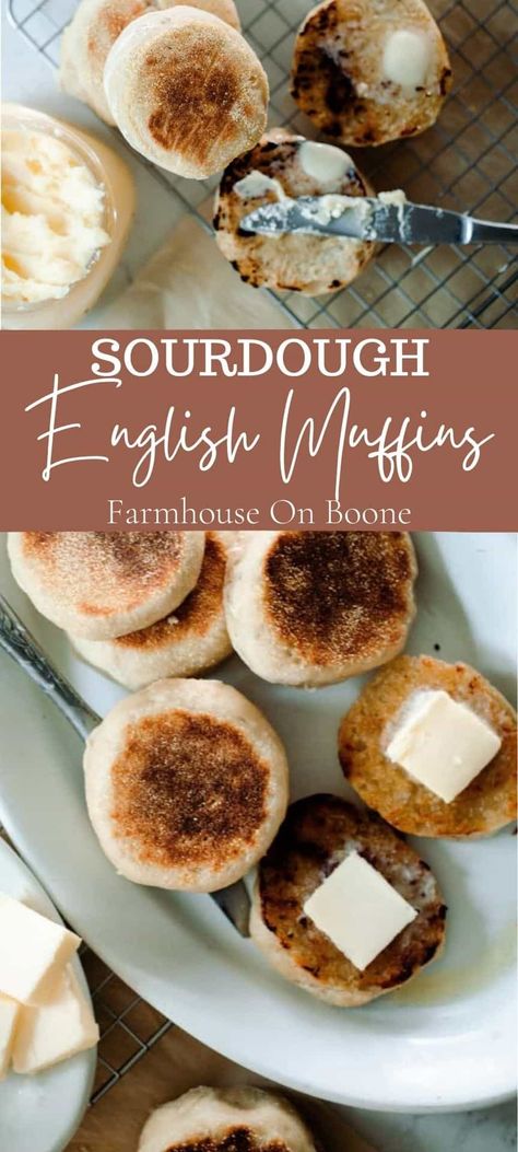 These healthy and delicious sourdough English muffins are a super simple no-knead recipe. Just mix up the night before and cook in the morning for a yummy breakfast. This is seriously the easiest English muffin recipe around. #farmhouseonboone #sourdoughenglishmuffins #englishmuffins #sourdough English Muffin Recipe Sour Dough, Sourdough English Muffins Farmhouse On Boone, Farmhouse On Boone English Muffins, Sourdough Recipes English Muffins, Homemade Sourdough English Muffins, Fluffy Sourdough English Muffins, Easy Sourdough English Muffin Recipe, Sourdough Discard Recipes English Muffins, Sourdough Starter English Muffins