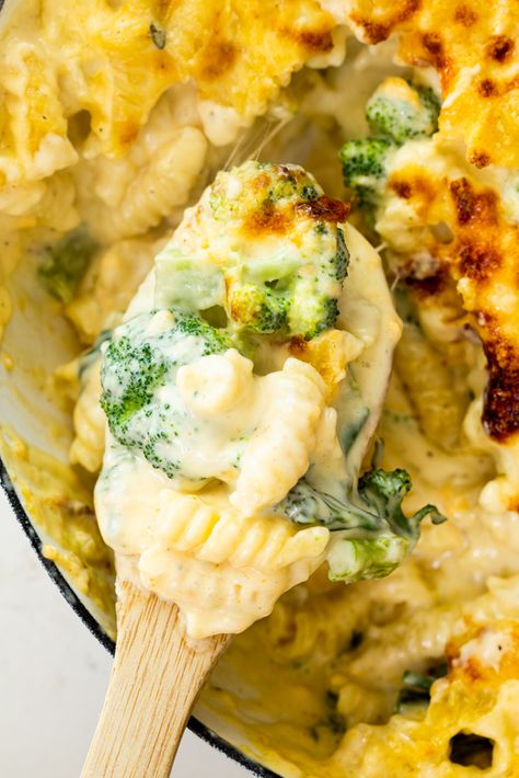 Broccoli Cheddar Pasta, Cheese And Broccoli Pasta, Cheddar Pasta, Pasta Bake Vegetarian, Cheese Pasta Bake, Broccoli Pasta Bake, Broccoli Cheddar Chicken, Cheese Broccoli, Broccoli Pasta Recipe