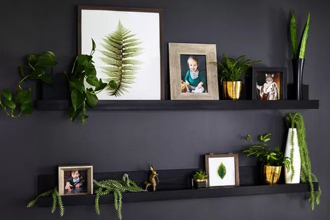 19 Picture Ledge Ideas to Shake up the Way You Use Your Walls Floating Shelves On Black Wall, Black Wall With Floating Shelves, Picture Ledge Decorating Ideas, Picture Ledge Ideas, Gallery Ledge, Decorating A Blank Wall, Picture Shelf Wall, Gallery Wall Shelves, Artwork Above Bed