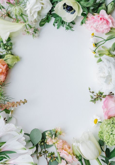 Fresh flowers frame on a white background | premium image by rawpixel.com / marinemynt #picture #photography #inspiration #photo #art #frame #flower #floral Wedding Flower Background, Flower Flat Lay, White Flower Background, White Flower Wallpaper, Flower Picture Frames, Apple Flowers, Flowers Frame, Flower Flat, Design Frame