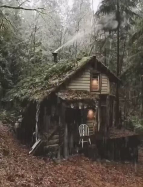 Moments & memories on Twitter: "Imagine being here right now… " Rainy Cabin, Rainy Fashion, Old Cabin, Forest Cottage, Forest Cabin, Crochet Aesthetic, Casa Country, Cottage In The Woods, Little Cabin