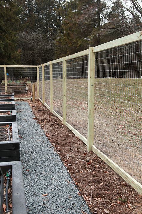 Fences Around Vegetable Gardens, Wooden Garden Design, Diy Vegetable Garden Fence, Fenced Raised Garden, Chicken Wire Fence Garden, Garden Fencing To Keep Deer Out, Vegetable Garden Fencing, Chicken Run Fencing, Rabbit Proof Garden Fence