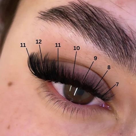 D Curl Lash Extensions Mapping, Natural Fake Eyelashes, Best Lash Extensions, Lashes Fake Eyelashes, Lashes Tutorial, Russian Volume Lashes, Eyelash Technician, Cat Eye Lash, Eyelash Extensions Styles