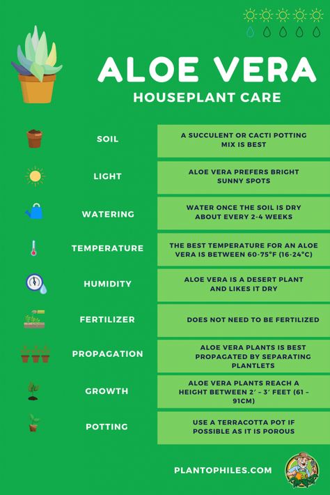 Aloe Plant Care, Aloe Vera Plant Care, Aloe Vera Care, Aloe Vera Benefits, Plant Mama, Plant Tips, Plants Care, Houseplant Care, Plant Care Houseplant