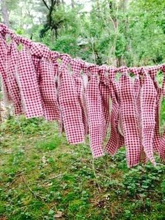 Diy Wedding Garland, Rag Tie Garland, Bbq Decorations, Garland Fabric, Baby Q Shower, Backyard Bbq Party, Rustic Wedding Backdrops, Torn Fabric, Red And White Gingham