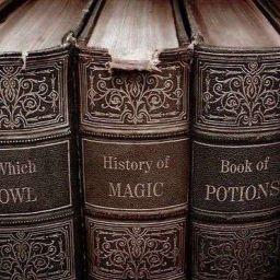 History Of Magic, Hogwarts Shifting, Shifting To Hogwarts, Hp Aesthetic, Gryffindor Aesthetic, Harry Potter Wall, Ravenclaw Aesthetic, Buku Harry Potter, Marauders Dr