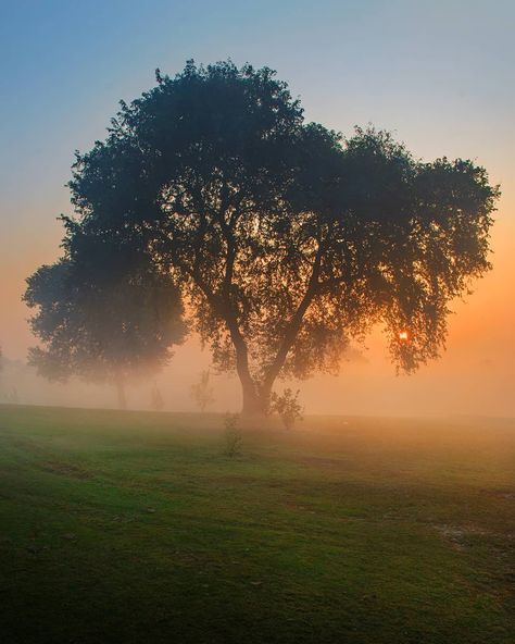 Human Butterfly, Winter Photography Nature, Punjab Culture, Foggy Winter, Morning Photography, Punjab Pakistan, Model Town, Village Photography, Misty Morning