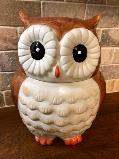 Vintage Owl Cookie Jar Collection Display Ideas, Owl Pottery, Owl Cookie Jar, Jar Collection, Owl Cookies, Cookie Jars Vintage, Collection Display, Snowy Owl, Vintage Owl