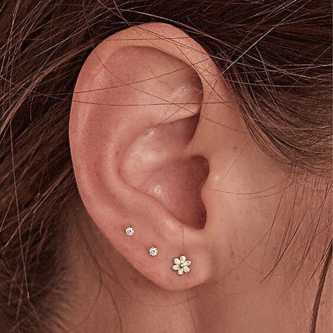 Ear Piercing Three, Triple Ear Piercing Aesthetic, Three Stud Ear Piercing, Two Pierced Ears Earrings, Gold Earing Stacks, Side Ear Piercing, Ear Piercings Women, Lobe Piercing Ideas, 2nd Ear Piercing