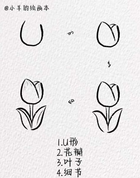 How To Draw Tulips, To Draw, Tulips, Tattoo Designs, Tattoos