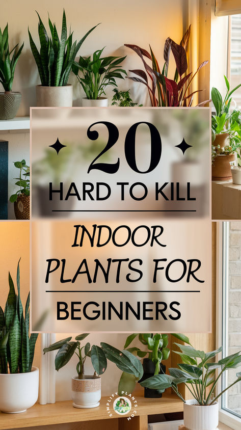 "Discover 20 hard to kill indoor plants perfect for beginners! This guide 
features beginner-friendly houseplants that are low maintenance and 
resilient, making them ideal for any home. Explore durable houseplants and 
tough indoor plants that thrive with minimal care. From robust houseplants 
to easy to care for indoor plants, find the perfect indoor plants for 
beginners. These hardy houseplants for beginners are not only sturdy but 
also enhance your living space!" Plant Guide Indoor, Indoor Easy Plants, Plants For Room Decor, Beginner Friendly Plants, List Of House Plants, Indoor Plant Guide, How To Grow Plants Indoors, Healthy Plants For The Home, Caring For Indoor Plants