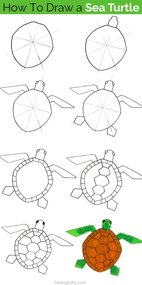 Dive into the world of art and learn how to draw a mesmerizing sea turtle with this beginner-friendly step-by-step tutorial. Create your own masterpiece inspired by these magnificent creatures of the sea. Perfect for all ages from kids to adults. Let your creativity flow and bring the beauty of sea turtles to life on paper! #DrawASeaTurtle #ArtTutorial #BeginnerArt #StepByStepDrawing #SeaTurtleDrawing #ArtInspiration #CreativityUnleashed #LearnToDraw Simple Ocean Creature Drawing, How To Draw A Turtle Step By Step Easy, Draw Turtle Easy, Sea Turtle Poster Project, How To Draw Sea Turtle, Sea Turtle Painted Rocks, How To Draw Sea Creatures Step By Step, Sea Turtle Art Project, Turtle Crafts For Adults