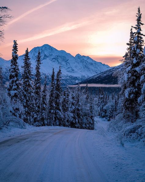 The Alaska Life on Instagram: “Our winter wonderland didn’t last long...who wants it back?! 📷: @photo_brenn ・・・ Snowwwww come baccckkkkkk #alaska #alaskan #thealaskalife…” Nature, Alaska City Aesthetic, Alaska Winter Aesthetic, Alaska Astethic, Anchorage Alaska Aesthetic, Alaska Aesthetic Winter, Alaska In Winter, Alaska Honeymoon, Alaskan Landscape