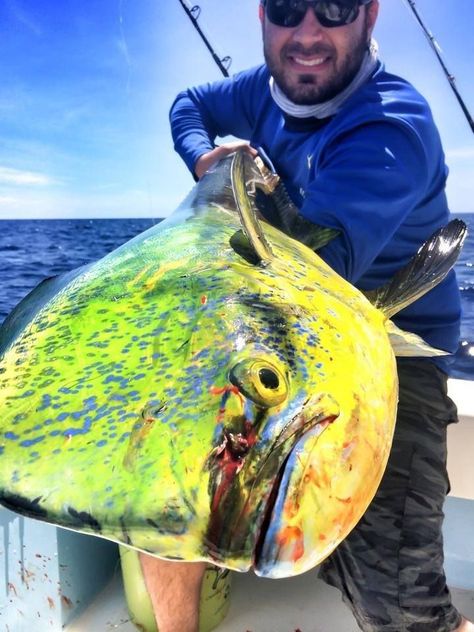 Canoe Fishing, Salt Water Fishing, Fishing Photography, Salt Water Fish, Buy Fish, Fishing Guide, Fishing Charters, Deep Sea Fishing, Catching Fish