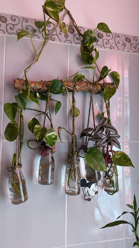 Bottle Hanging Plants, Plant Set Up, Pothos In Water, Mos Wand, Water Plants Indoor, Tanaman Air, Indoor Plant Wall, نباتات منزلية, Hanging Plant Wall