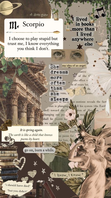 Greek Astrology Aesthetic, Soft Scorpio Aesthetic, Scorpio Collage Wallpaper, Zodiac Scorpio Aesthetic, Scorpio Phone Wallpaper, Scorpion Zodiac Wallpaper, Scorpio Vibes Aesthetic Wallpaper, November Scorpio Aesthetic, Aesthetic Wallpaper Scorpio