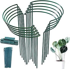 Plant Support Stakes, Peony Support, Garden Plant Supports, Plant Cages, Plant Ties, Support Pictures, Plant Clips, Roses Peonies, Support Plante