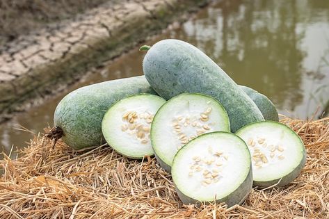 Winter Melon, Cute Food Art, Cute Food, Gourds, Premium Photo, Melon, Food Art, Cucumber, Avocado