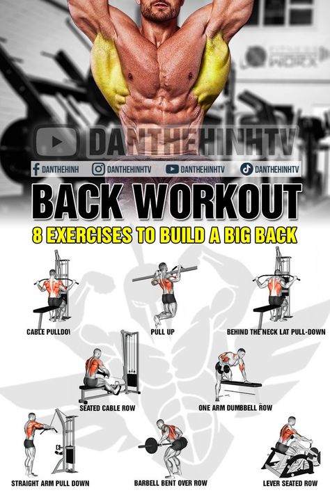 Back And Bicep Workout For Men, Back Workout For Men Gym, Back Training Gym, Back Workouts For Men, Back Exercises For Men, Back Workout For Men, Big Back Workout, Back Workout Bodybuilding, Back Workout Men