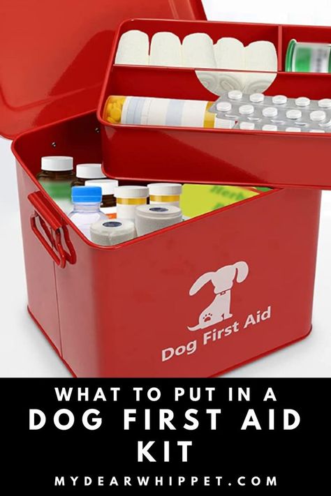 We keep first aid kits at home or in our vehicles for minor human medical problems. In the same way, it’s wise for all dog owners to keep a dog first aid kit in case of minor canine medical problems. You can of course buy a canine first aid kit but you can also make a DIY one up yourself. In this post I’m going to explain what to put in a DIY dog first aid kit to help you build your own little medical pack for minor medical problems you're likely to encounter as a dog owner. Diy First Aid Kit, Mini First Aid Kit, Survival Skills Emergency Preparedness, Cat Language, Whippet Dog, Aid Kit, First Aid Kit, Homemade Dog, First Aid