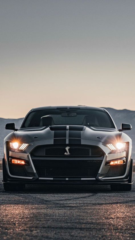 Gt 500 Mustang, Ford Mustang Shelby Gt500 2023, Mustang Cobra Shelby Gt500, Mustang Gt500 Wallpaper, Gt 500 Shelby, Mustang Gt500 Shelby, 2023 Mustang, Cobra Gt500, Shelby Cobra Gt500