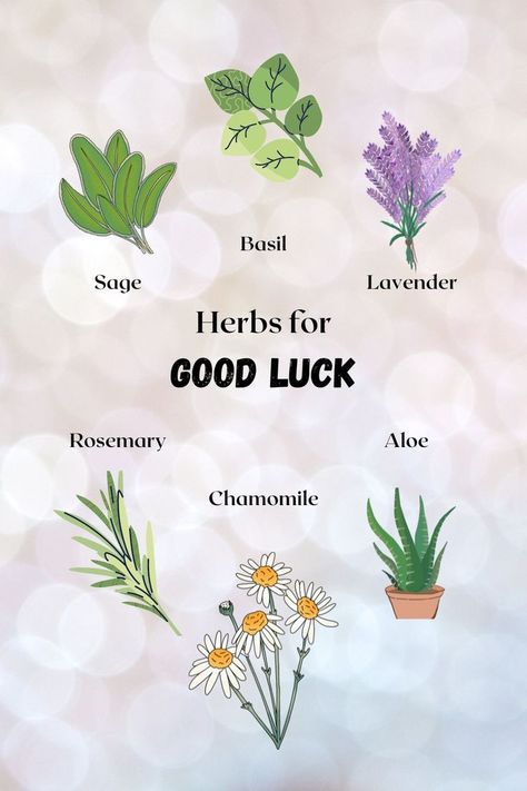 Herbs For Dreams, Herbs Meanings, Witchcraft Luck, Herbs For Prosperity, Herbs For Good Luck, Prosperity Herbs, Tea Magick, Granny Witch, Magical Herbs Witchcraft