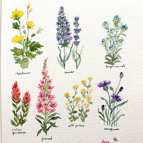 Pretty Little Wildflowers | Skillshare Projects Flowers To Watercolor, How To Paint Wildflowers, Pretty Drawings Of Flowers, Flowers Drawing Acrylic, Wildflower Painting Easy, Flowers Drawing Aesthetic, Drawing Wildflowers, Wildflower Drawings, Wildflowers Drawing