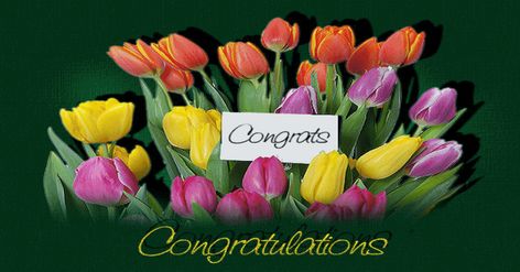 congratulations-flowers.gif (960×502) Congratulations Cards Diy, Job Well Done Quotes, Congratulations Quotes Achievement, Congratulations Messages For Achievement, Do Better Quotes, Congratulations On Your Achievement, Congratulations Quotes, Congratulations Flowers, Graduation Card Messages