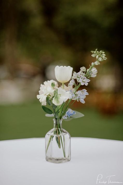 Greenery In Bud Vases, Short Flower Vases Centerpieces, Single Flower Arrangements Bud Vases, Bud Arrangements Wedding, Dusty Blue Bud Vases Wedding, White Flowers In Small Vases, All White Bud Vases Wedding, Mini White Flower Arrangements, Small Wedding Flowers Centerpieces