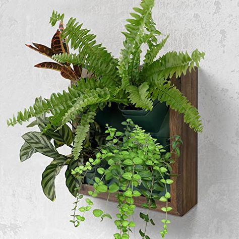 Amazon.com: QUOAOT Vertical Wall Planter, 4 Pots Self Watering Living Wall Planter Indoor, Wooden Frame Planter Wall Decoration Home Office (No Screw) : Patio, Lawn & Garden Living Wall Indoor, Vertical Garden Wall Planter, Living Wall Planter, Porch Wall Decor, Tattoo Plant, Indoor Plant Wall, Wall Planters Indoor, Planter Wall, Vertical Wall Planters