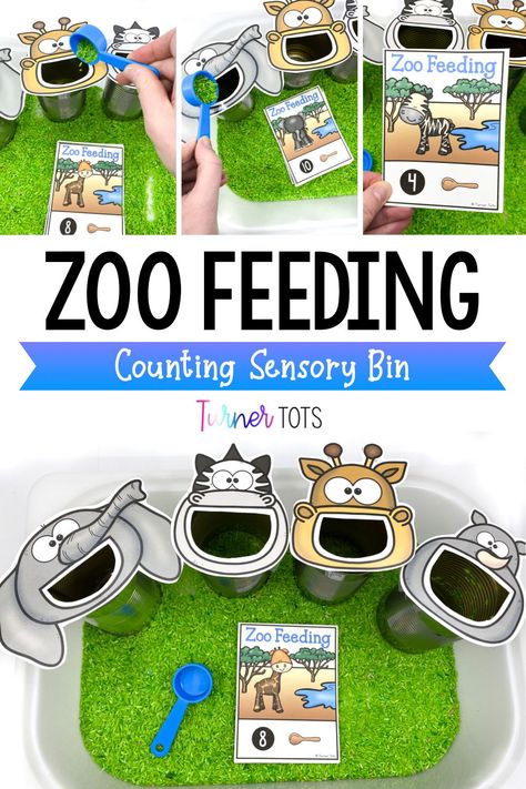 Zoo Feeding Sensory Bin, Feeding Zoo Animals Activities, Zoo Themes For Preschool, Zoo Animal Games For Preschool, Feed Me Letters Preschool, Zoo Sensory Activities Preschool, Zoology Activities For Preschool, Zoo Curriculum Preschool, Pre K Animal Activities