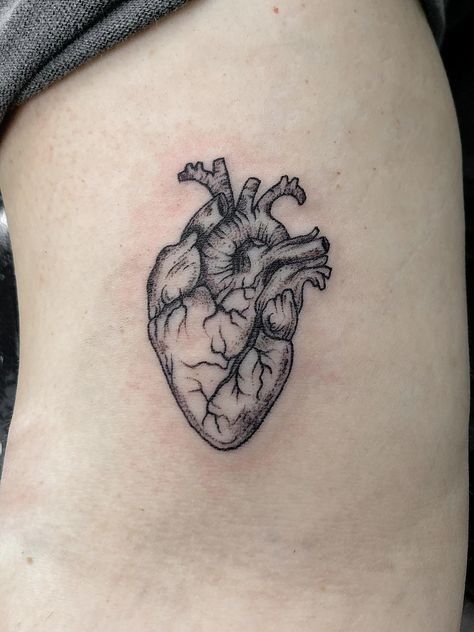 Heart Anatomy Tattoo, Real Heart Tattoos, Human Heart Tattoo, Realistic Heart Tattoo, Anatomical Tattoos, Healing The Mind, Realistic Heart, Anatomy Tattoo, Brain Tattoo