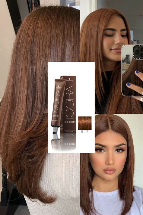 Igora Hair Color Brown, Pelo Color Chocolate, Chocolate Pelo, Maple Brown Hair, Pelo Chocolate, Rambut Brunette, Brown Hair Looks, Brown Hair Inspo, Hair Color Formulas