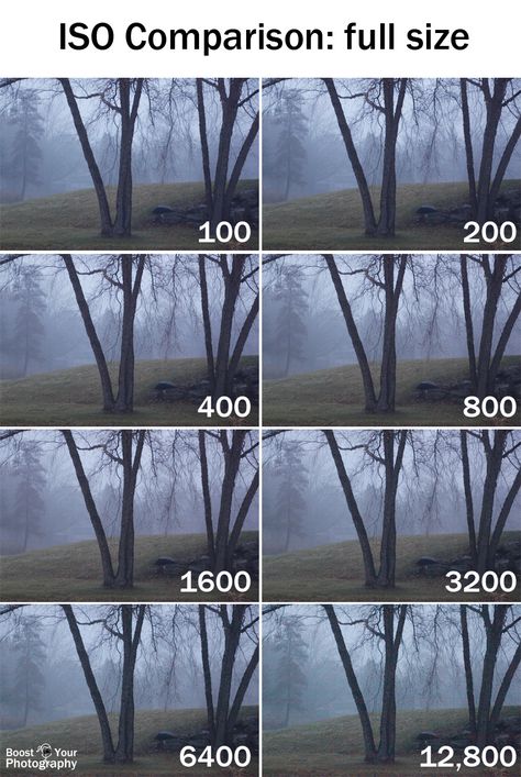 ISO Comparison at Full Size | Boost Your Photography Photo Series Ideas, Iso Photography, Gcse Photography, Improve Photography, Digital Photography Lessons, Photo Elements, Dslr Photography Tips, Photo Dream, Photography Settings