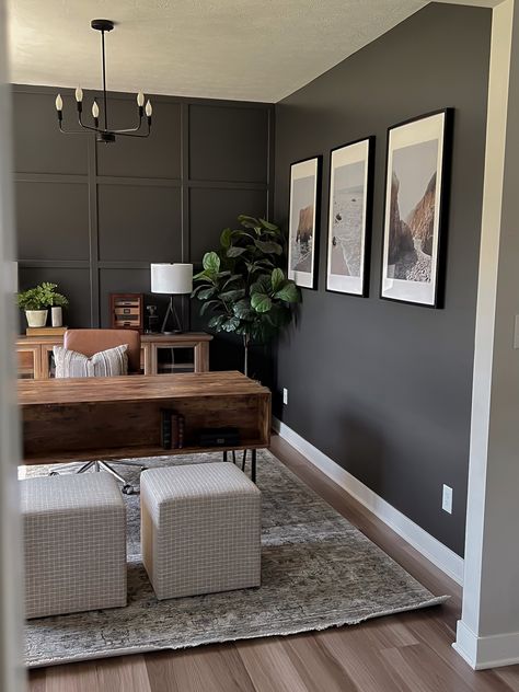 Gray Wall Office Ideas, Dark Walls Home Office, Charcoal Home Office, Home Office Ideas Dark Walls, Home Office Ideas Dark, Dark Wall Home Office, Office Color Scheme Business Gray, Front Home Office Ideas, His And Hers Home Office Ideas