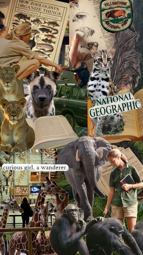 #zoology #zoologist #wildlifebiologist Animal Biology Aesthetic, Wildlife Biology Aesthetic, Zoologist Career, Zoology Career, Vet School Motivation, Vet Tech School, Environmental Scientist, Conservation Biology, Wildlife Biologist