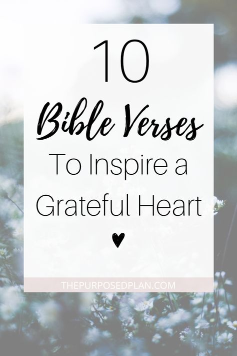 Use these gratitude bible verses and scriptures to inspire a grateful heart within yourself #grateful #thankful #bibleverse #scripture Biblical Gratitude Quotes, Thank You Quotes Gratitude Christian, Scriptures For Thankfulness, Gratitude Quotes Thankful I Am Blessed My Life Is, Scriptures About Thankfulness, Bible Verse About Gratefulness, Scriptures On Thankfulness, Grateful Quotes Bible, Thank You Bible Verse Scriptures