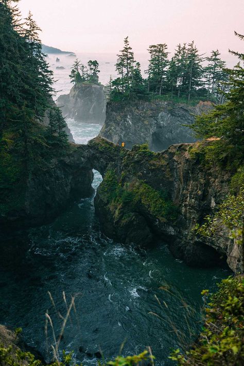 Oregon Aesthetic, Pnw Aesthetic, Oregon Forest, Oregon Life, Oregon Road Trip, Oregon Travel, Oregon Coast, Magical Places, Pretty Places