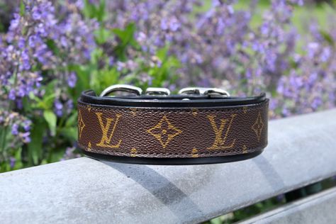 Dog collar bows