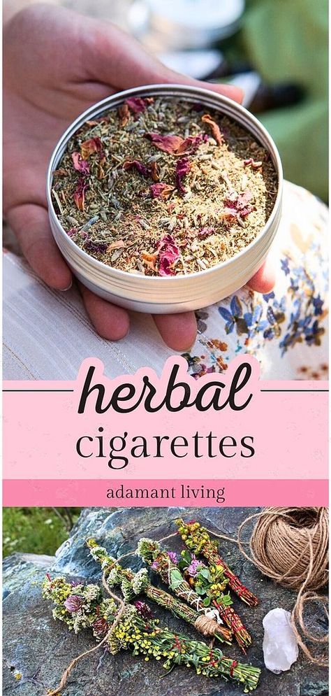 A deep dive into the fascinating world of medicinal herbs, this resource reveals the art of crafting Herbal Cigarettes. Rich with insights about smokable herbs and plants, it provides a thorough understanding of these alternative herbal remedies. Explore the range of Herbal Smoking Blends and learn about their distinctive characteristics and potential health benefits. Medicinal Herbs Recipes, Smokable Herbs, Medicine Garden, Herbal Medicine Recipes, Herbs And Plants, Herbal Remedies Recipes, Medicinal Herbs Garden, Diy Herbal Remedies, Medical Herbs