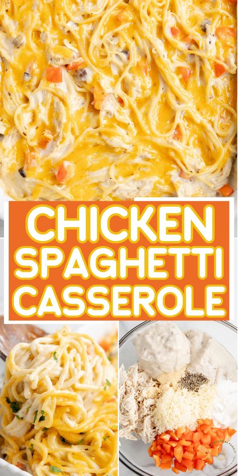 This easy cheesy Chicken Spaghetti Casserole combines tender chicken and spaghetti in a cheesy and creamy sauce. It's a family favorite casserole, the ultimate comfort food, and an easy prep recipe for busy nights. Million Dollar Chicken Spaghetti Casserole, Chicken Spaghetti Casserole Pioneer Woman, Gourmet Chicken Spaghetti, Chicken Spaghetti No Rotel, Chicken Spaghetti Casserole Velveeta, Quick Easy Dinner With Chicken, Dreamy Spaghetti Casserole, Chicken And Spaghetti Casserole, Chicken And Sausage Spaghetti