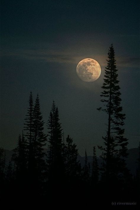 The beauty that surroundes us on Tumblr Moon Core, Space Aesthetic, Creation Art, Moon Photos, The Moon Is Beautiful, Moon Pictures, Space Photos, Moon Photography, Moon Lovers