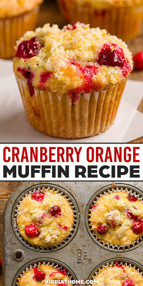 Cranberry muffins in a muffin pan Banana Dried Cranberry Muffins, Banana Cranberry Muffins, Cranberry Orange Muffin Recipe, Orange Muffin Recipe, Nutella Muffin, Sourdough Breads, Muffins Blueberry, Holidays Recipes, Glaze Icing