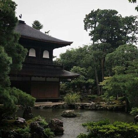 | OK.RU | Nature aesthetic, Aesthetic japan, Green aesthetic Nature And Buildings Aesthetic, Dark Naturalism, Hawaii Surf, Japan Aesthetic, Aesthetic Japan, Japanese Aesthetic, Wow Art, A Park, Ancient China