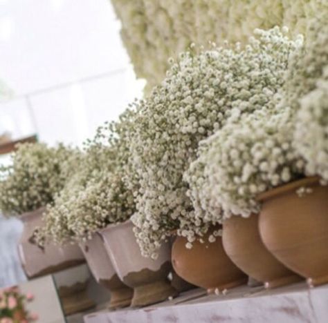 Baby breath in terra cotta pots by bibihayat events Coquette Bathroom, Mexican Hacienda, Terra Cotta Pots, Event Trends, Baby Breath, Baby S Breath, Wedding 2024, June 3rd, Wedding Stage